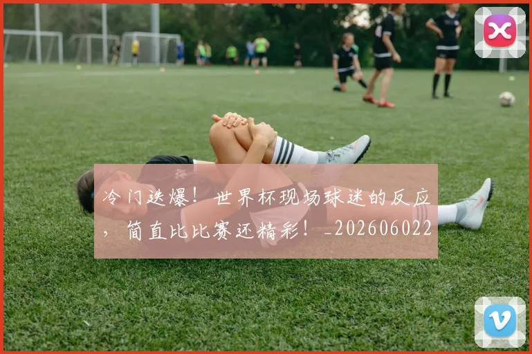 冷门迭爆！世界杯现场球迷的反应，简直比比赛还精彩！_20260602212500